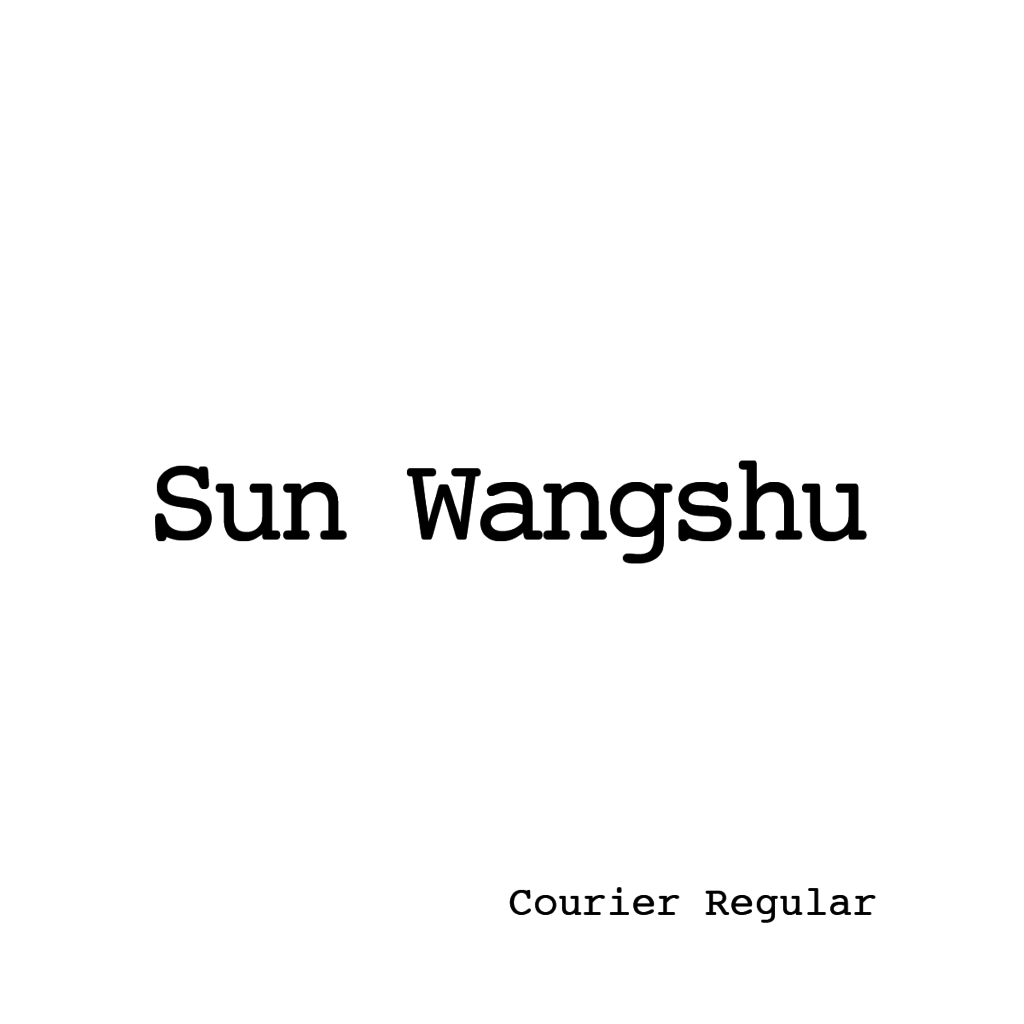 Sun Wangshu-02