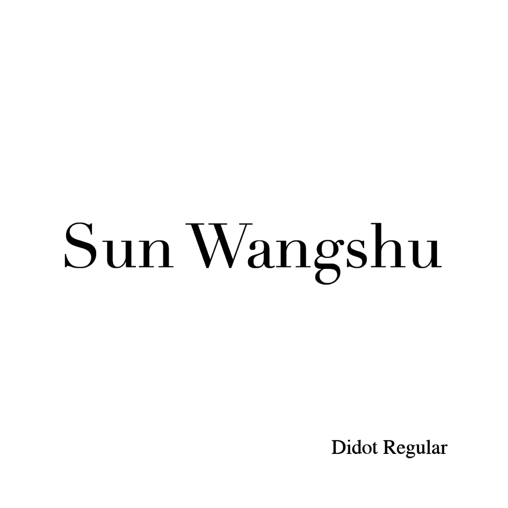 Sun Wangshu-03