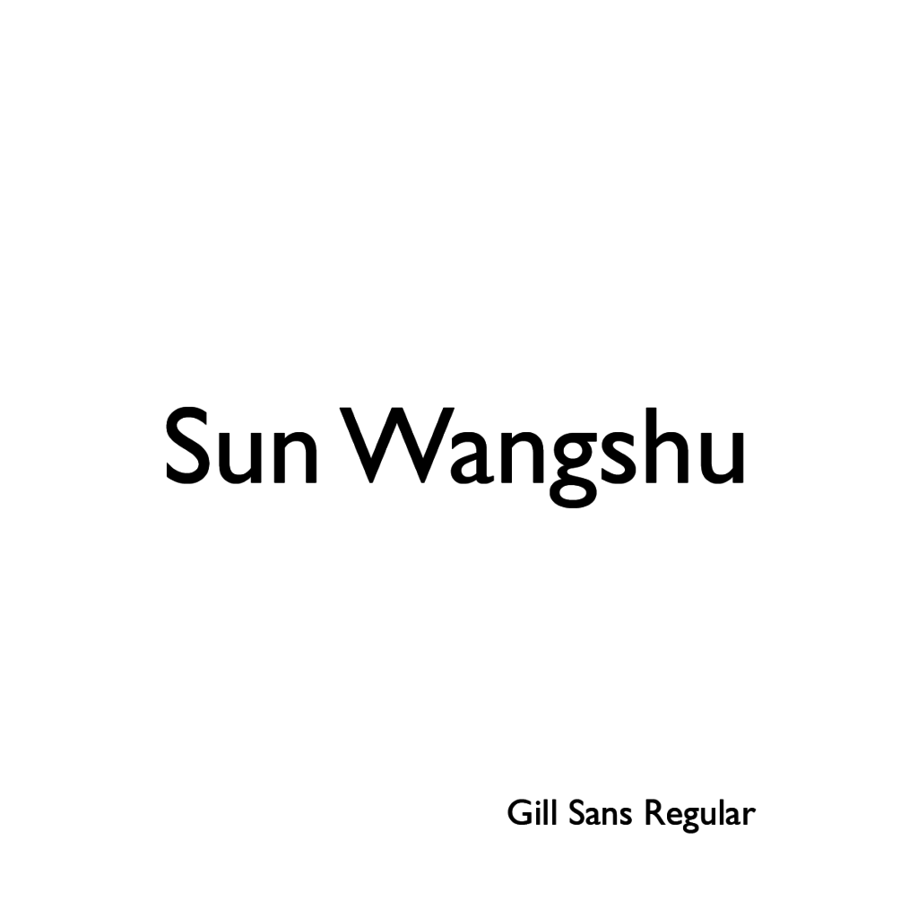 Sun Wangshu-04