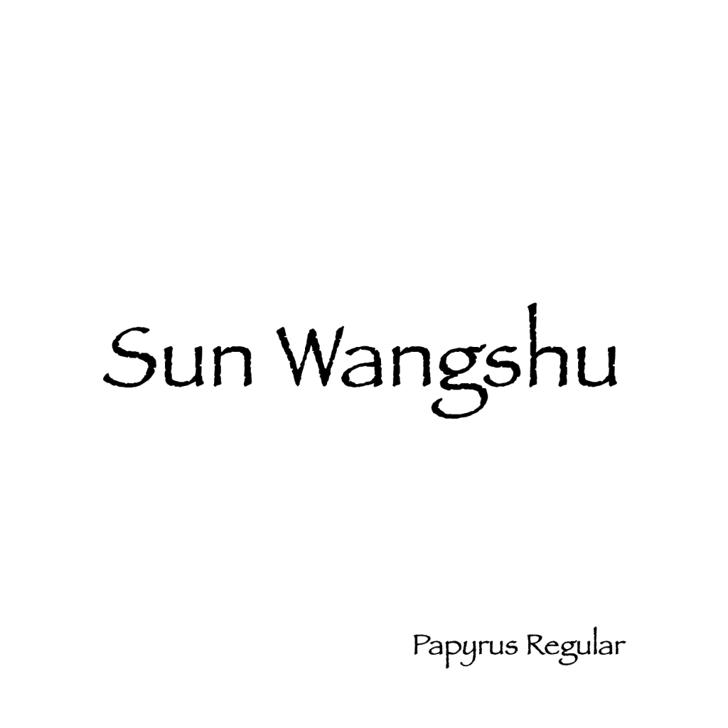 Sun Wangshu-05