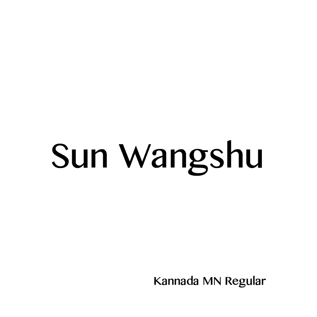 Sun Wangshu-06