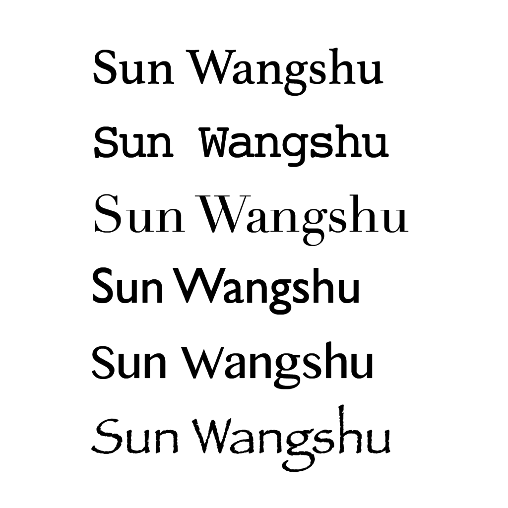 Sun Wangshu-07